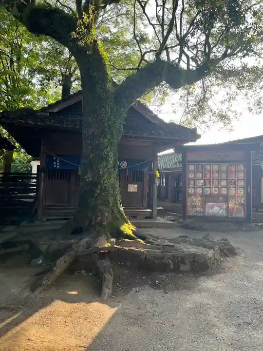青井阿蘇神社(熊本県)