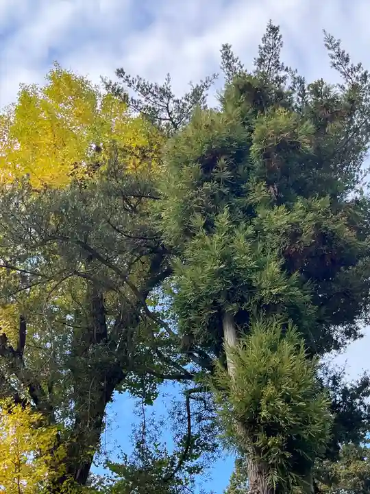 筑波山神社(茨城県)
