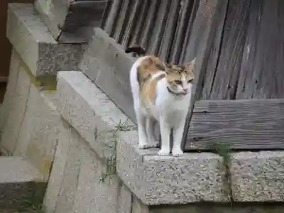 智恩寺(京都府)