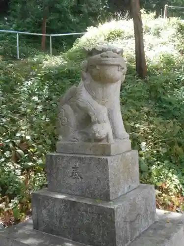 熊野神社の狛犬