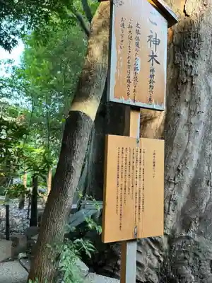 川越氷川神社(埼玉県)