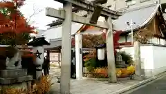 晴明神社の鳥居