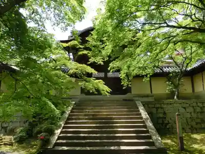 光明寺（粟生光明寺）のその他建物