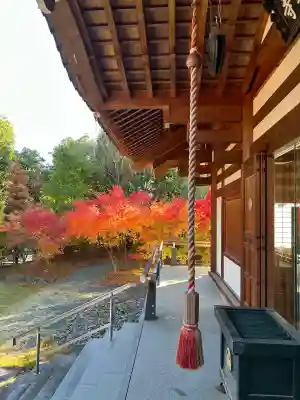 大森寺(愛知県)