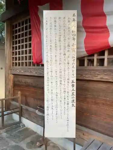 高知大神宮の歴史