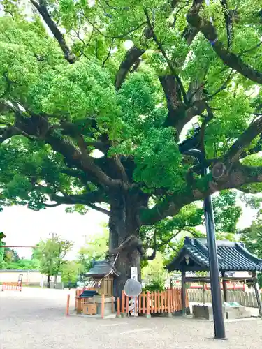 百舌鳥八幡宮のその他建物