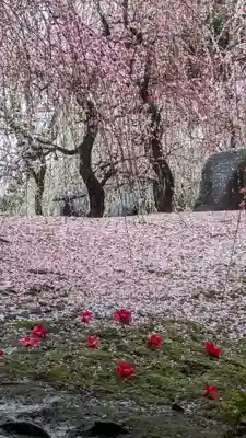 城南宮(京都府)