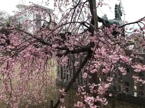 射楯兵主神社の自然