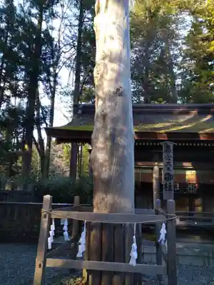 諏訪大社下社春宮のその他建物