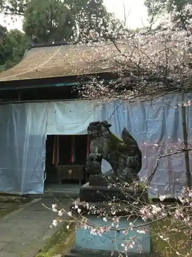 舟津神社の狛犬