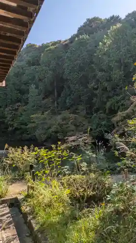 浄瑠璃寺(京都府)