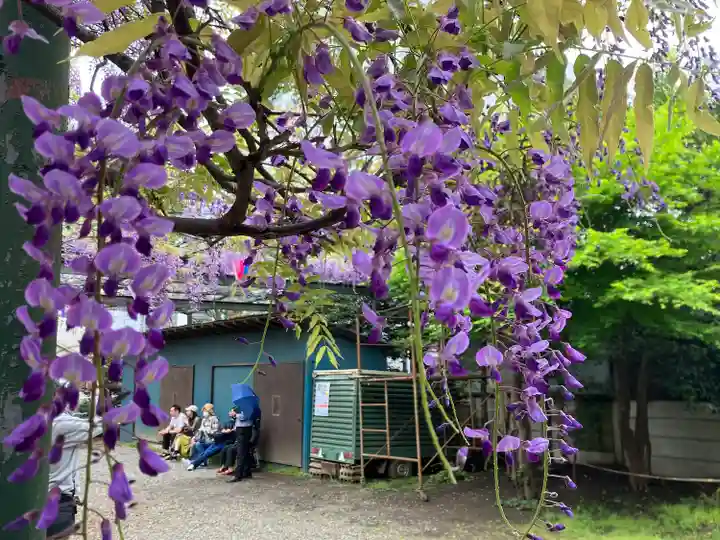 國領神社(東京都)