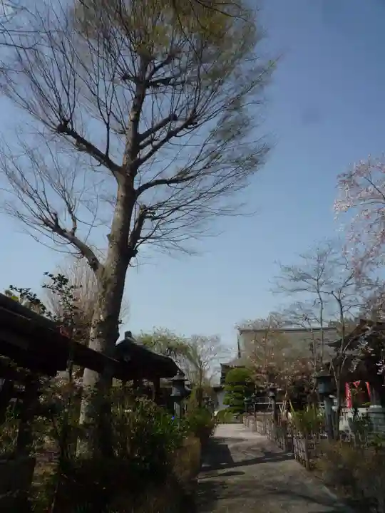 富蔵院のその他建物