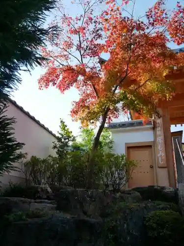 宝徳寺の景色