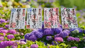 倶利迦羅不動寺鳳凰殿の御朱印(2022年06月12日(日) 18時29分51秒投稿)