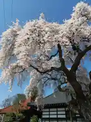 安達太良山 遍明院 相応寺 の自然