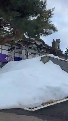 鹿部稲荷神社の{uncategorized: "未分類", other: "その他", undefined: "問題あり", building: "その他建物", grave: "お墓", sacred_gate: "鳥居", guardian: "狛犬", statue: "像", buddha: "仏像", history: "歴史", nature: "自然", garden: "庭園", animal: "動物", pagoda: "塔", temizu: "手水舎", mountain_gate: "山門・神門", sanctuary: "本殿・本堂", subordinate: "末社・摂社", art: "芸術", scenery: "景色", jizo: "地蔵", ema: "絵馬", goshuin: "御朱印", omikuji: "おみくじ", items: "授与品その他", amulet: "お守り", goshuincho: "御朱印帳", eats: "食事", festival: "お祭り", votive_dance: "神楽", shichigosan: "七五三参", wedding: "結婚式", experience: "体験その他", initially: "初詣", around: "周辺", anti_infection: "感染症対策"}