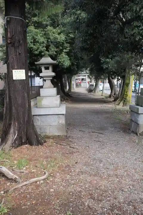 青渭神社のその他建物