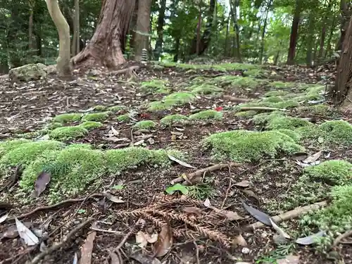 鎌田神明宮(静岡県)