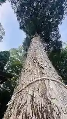 依居神社(福井県)