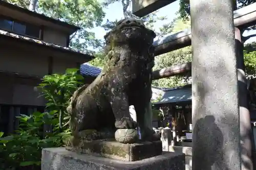 白雲神社の狛犬