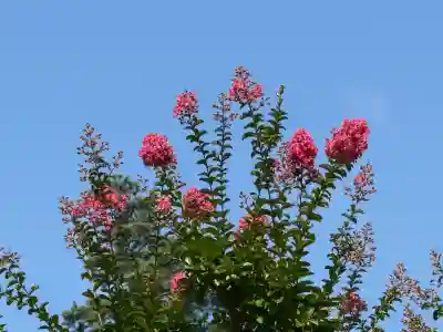 国宝 大法寺(長野県)