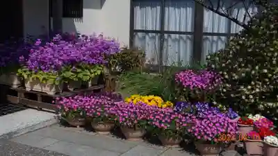 向福寺(神奈川県)