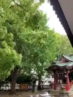 小金八坂神社(千葉県)