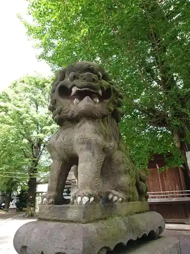 滝野川八幡神社の狛犬