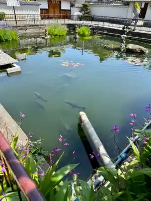 誉田八幡宮(大阪府)