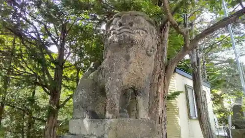 北見神社の狛犬