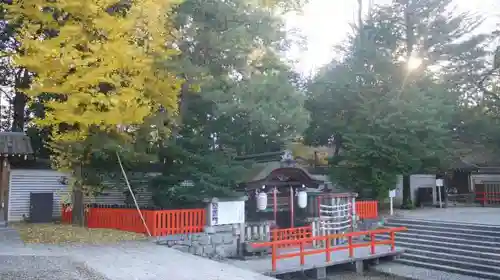 賀茂御祖神社（下鴨神社）の自然