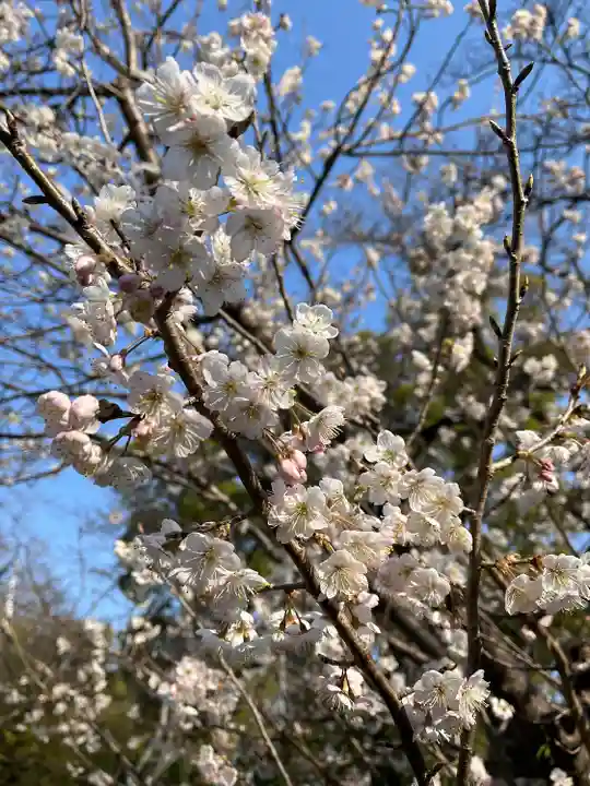 石清水八幡宮(京都府)