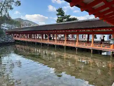 厳島神社(広島県)