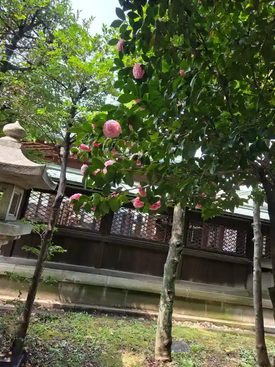 白金氷川神社の{uncategorized: "未分類", other: "その他", undefined: "問題あり", building: "その他建物", grave: "お墓", sacred_gate: "鳥居", guardian: "狛犬", statue: "像", buddha: "仏像", history: "歴史", nature: "自然", garden: "庭園", animal: "動物", pagoda: "塔", temizu: "手水舎", mountain_gate: "山門・神門", sanctuary: "本殿・本堂", subordinate: "末社・摂社", art: "芸術", scenery: "景色", jizo: "地蔵", ema: "絵馬", goshuin: "御朱印", omikuji: "おみくじ", items: "授与品その他", amulet: "お守り", goshuincho: "御朱印帳", eats: "食事", festival: "お祭り", votive_dance: "神楽", shichigosan: "七五三参", wedding: "結婚式", experience: "体験その他", initially: "初詣", around: "周辺", anti_infection: "感染症対策"}