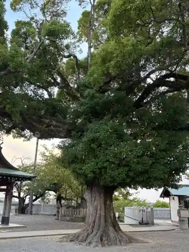 成田山大阪別院　明王院(大阪府)