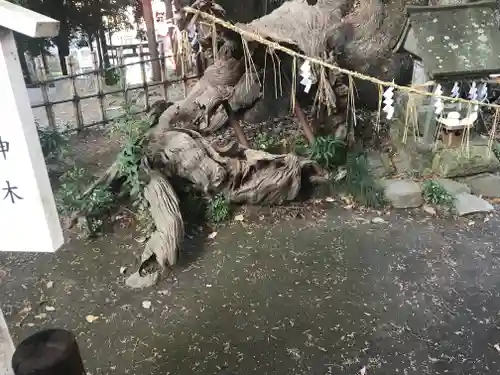 草薙神社の自然