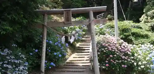 住吉神社の鳥居