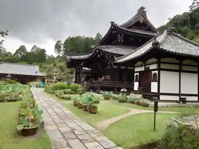 三室戸寺(京都府)