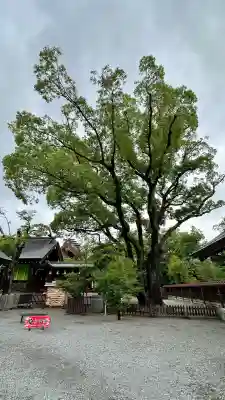 大鳥大社(大阪府)