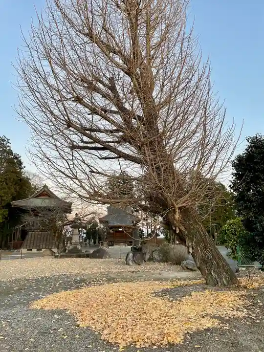 宗光寺(栃木県)