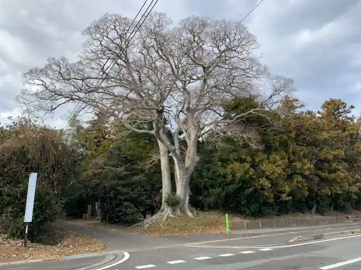 皇産靈神社(千葉県)