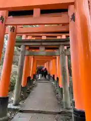 伏見稲荷大社の鳥居