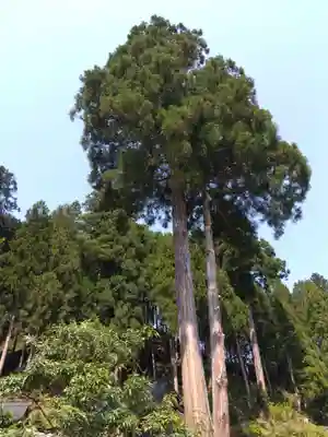 清瀧神社(福井県)