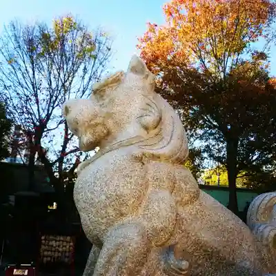 神田神社（神田明神）の狛犬