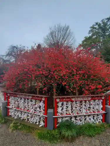 冠稲荷神社の自然