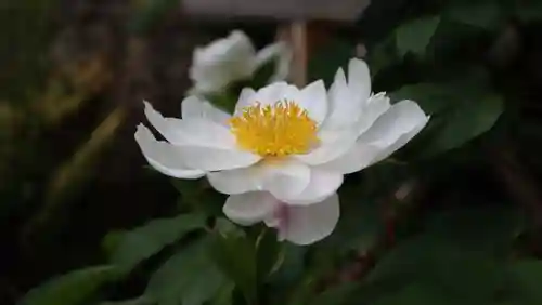 東光院(大阪府)