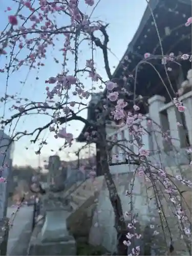 生石神社(兵庫県)