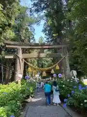 磯山神社(栃木県)