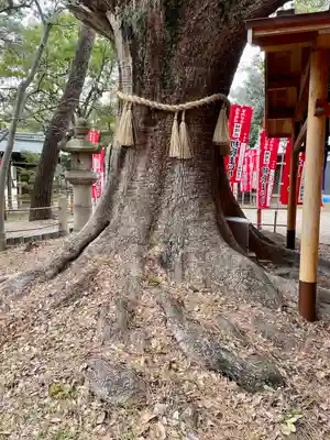 楠珺社（住吉大社末社）(大阪府)